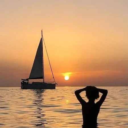 Tiny House * São Brás de Alportel