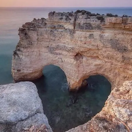 Tiny House São Brás de Alportel